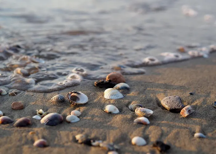 Seaside With Shared Pool